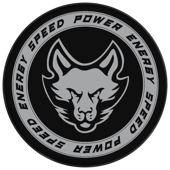 Шайба хоккейная Winter Star, взрослая, d=7.6 см