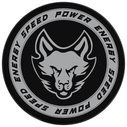 Шайба хоккейная Winter Star, взрослая, d=7.6 см