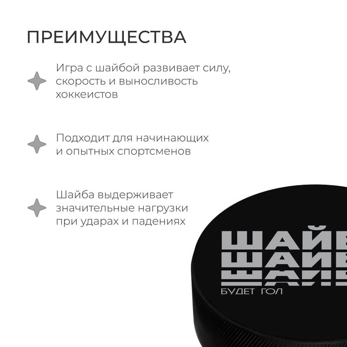 Шайба хоккейная Winter Star, взрослая, d=7.6 см