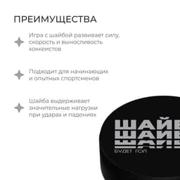 Шайба хоккейная Winter Star, взрослая, d=7.6 см