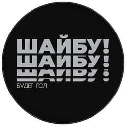 Шайба хоккейная Winter Star, взрослая, d=7.6 см