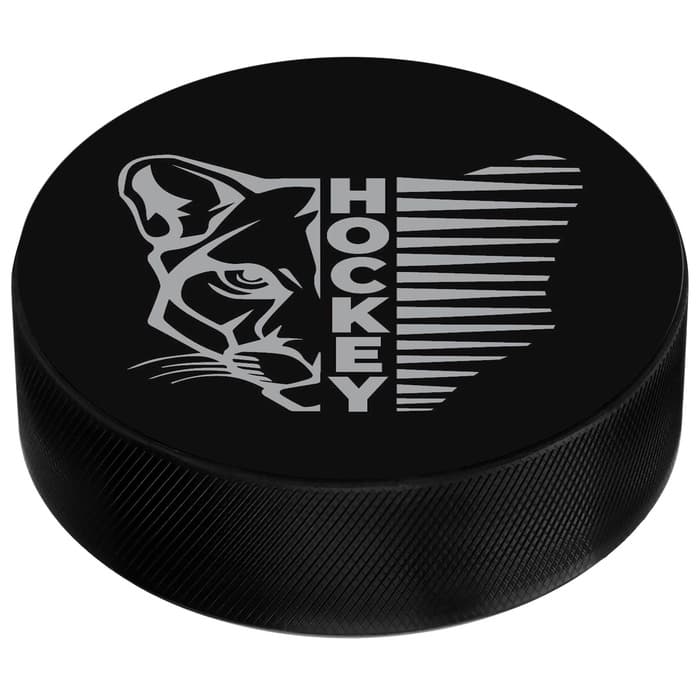 Шайба хоккейная Winter Star, взрослая, d=7.6 см