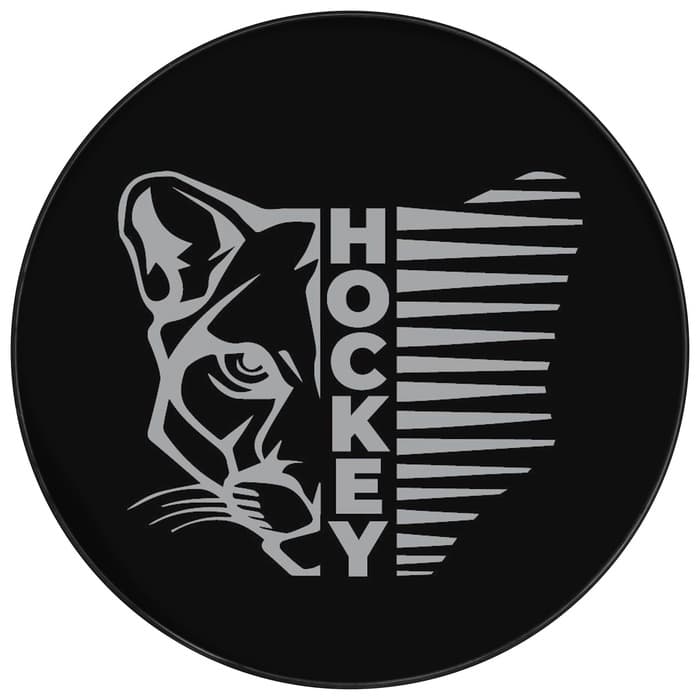 Шайба хоккейная Winter Star, взрослая, d=7.6 см