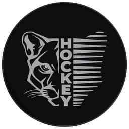 Шайба хоккейная Winter Star, взрослая, d=7.6 см