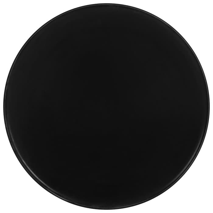 Набор хоккейных шайб, взрослый, 10 шт.