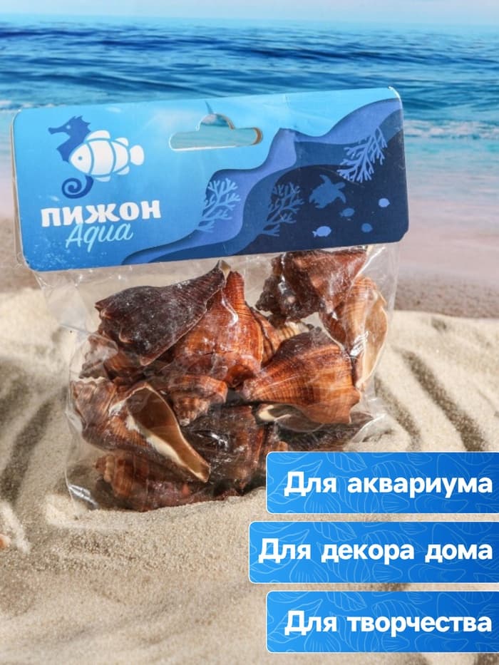 Набор ракушек, 5 - 7 см, 100 г