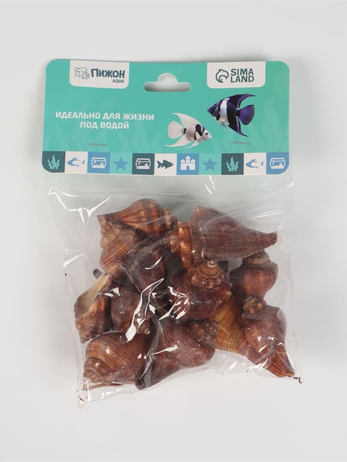 Набор ракушек, 5 - 7 см, 100 г