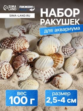 Набор ракушек, 2.5 - 4 см, 100 г