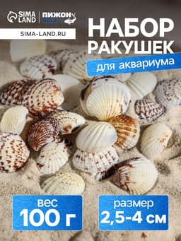 Набор ракушек, 2.5 - 4 см, 100 г