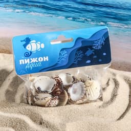 Набор ракушек, 2.5 - 4 см, 100 г