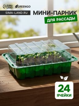 Мини - парник для рассады, 25×17.5×4.5 см, 24 ячейки под таблетки для рассады d=3 см, пластик, Greengo