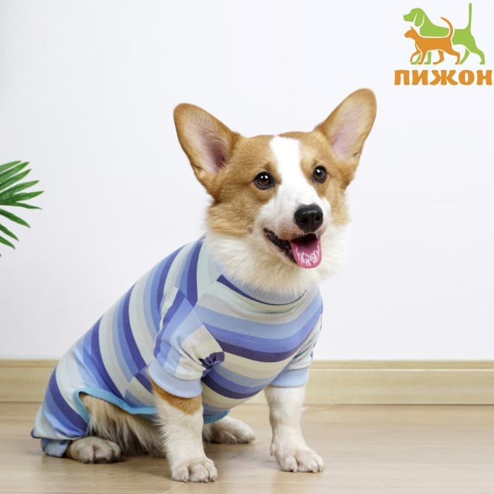 Попона послеоперационная, размер L, ОШ 28, ОГ 44, ОТ 35 см, вес 8-12 кг, вискоза, голубая