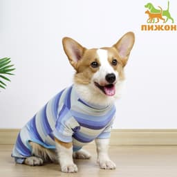 Попона послеоперационная, размер L, ОШ 28, ОГ 44, ОТ 35 см, вес 8-12 кг, вискоза, голубая