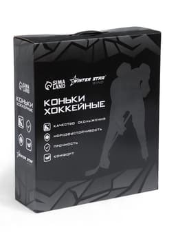Коньки хоккейные прокатные Winter Star, р. 41