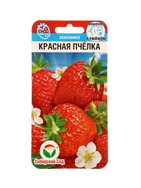Семена Земляника ремонтантная «Красная пчёлка», 10 шт., «Сибирский сад»