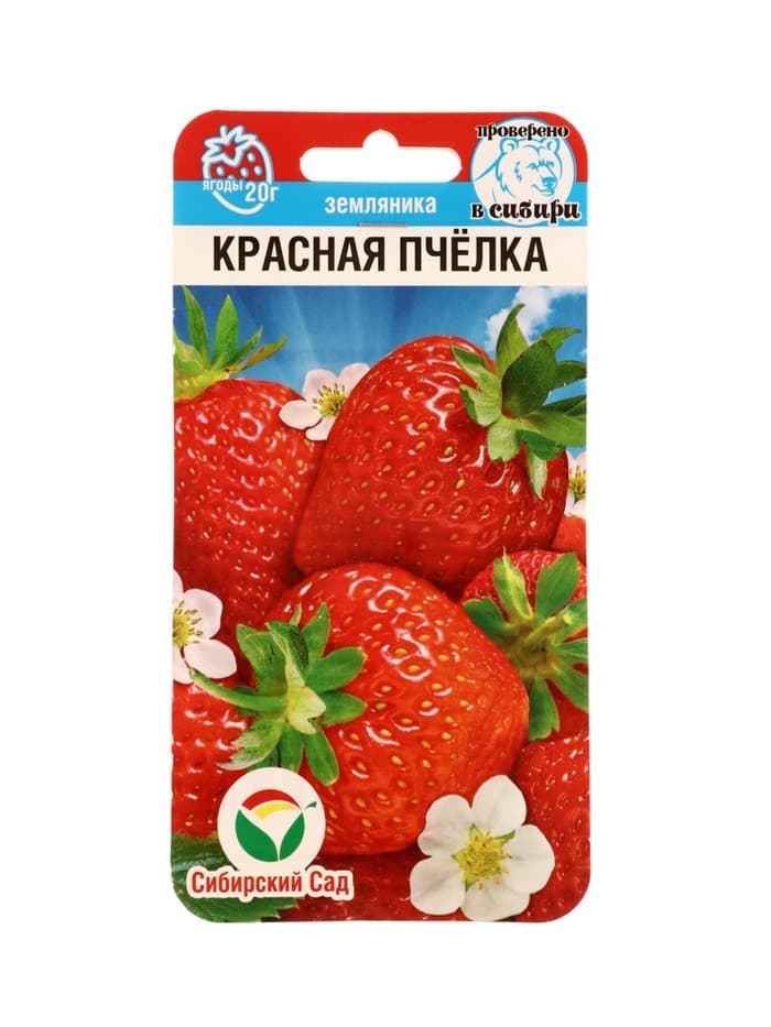 Семена Земляника ремонтантная «Красная пчёлка», 10 шт., «Сибирский сад»