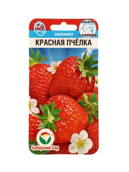 Семена Земляника ремонтантная «Красная пчёлка», 10 шт., «Сибирский сад»