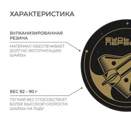 Шайба хоккейная Winter Star, детская, d=6 см