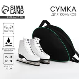 Сумка спортивная для коньков, 40×32×20 см, чёрная