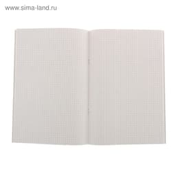 Книга учёта А4, 48 листов, в клетку, обложка картон, офсет