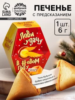 Печенье с предсказаниями на новый год в коробке «Акцио удача»