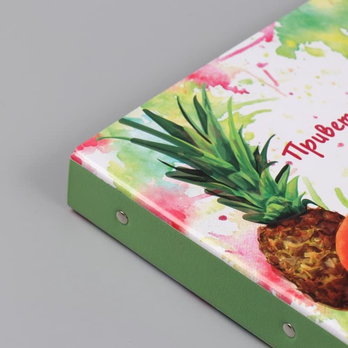 Фотоальбом на кольцах 25 листов Keep memories «Фрукты. Привет, лето!», с наклейками, 19×27×3 см