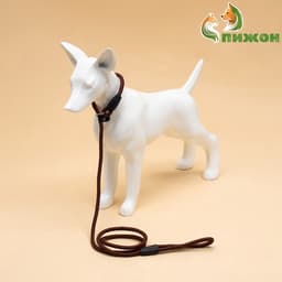 Ринговка для собак, 130×0.8 см, коричневая