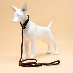 Ринговка для собак, 130×0.8 см, коричневая