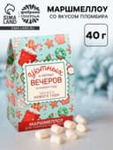 Маршмеллоу для напитков «Тёплого Нового года», со вкусом пломбира, 40 г