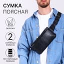 Сумка поясная на молнии, с 2 карманами, 26×1×14 см, чёрная