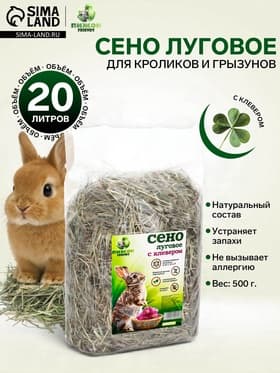 Сено луговое с клевером «Пижон» для грызунов, 20 л, 500 г