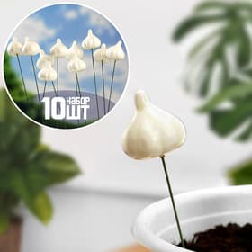 Топперы для творчества «Чеснок», 10 шт., 3 см, 25 см