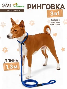 Ринговка для собак, 130×0.8 см, синяя