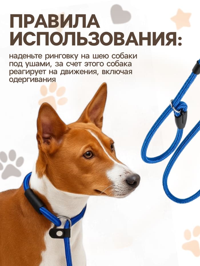 Ринговка для собак, 130×0.8 см, синяя