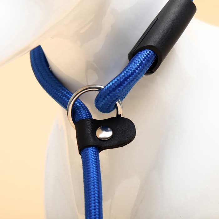 Ринговка для собак, 130×0.8 см, синяя