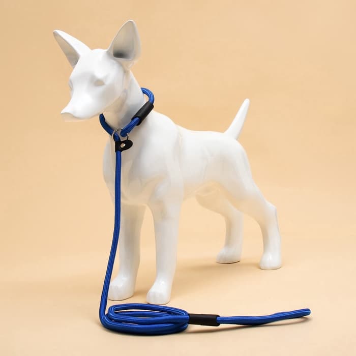 Ринговка для собак, 130×0.8 см, синяя