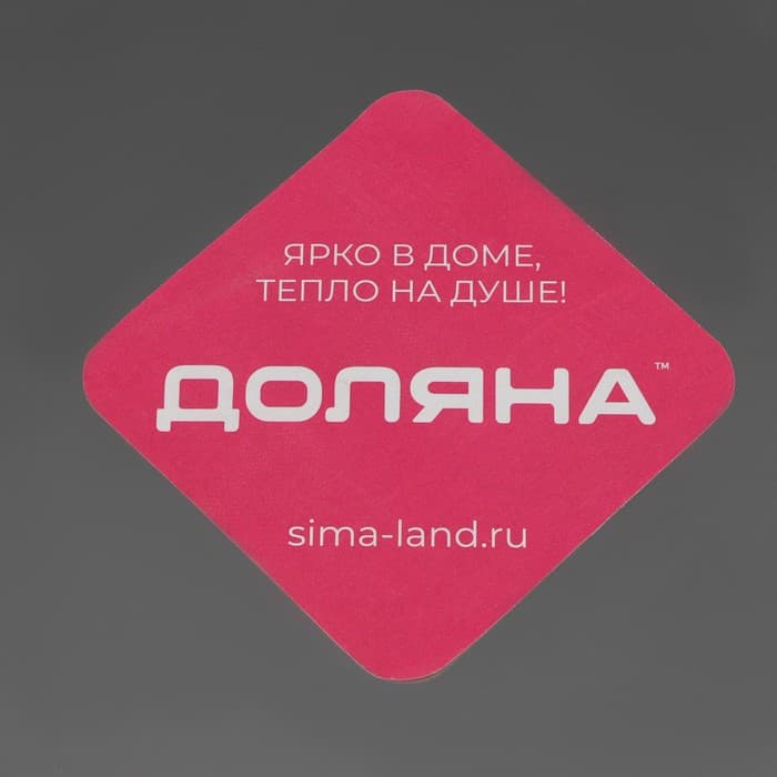 Поднос овальный из нержавеющей стали Доляна, 30×20 см, серебристый