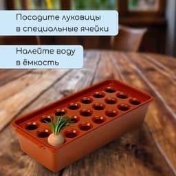 Ящик для выращивания зелёного лука, 40×19×10 см, 21 лунка, пластик, красный