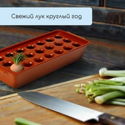 Ящик для выращивания зелёного лука, 40×19×10 см, 21 лунка, пластик, красный