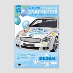 Набор магнитов на авто «Везем наследника», на выписку, 42 см × 29.7 см