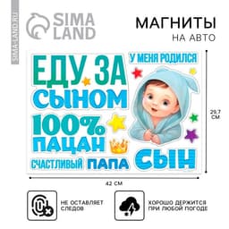 Набор магнитов на авто «Еду за сыном», на выписку, 42 см × 29.7 см