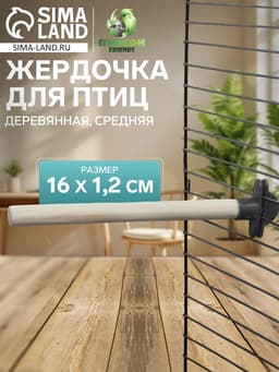 Жёрдочка для птиц «Пижон», 16×1.2 см, средняя, дерево, бежевая