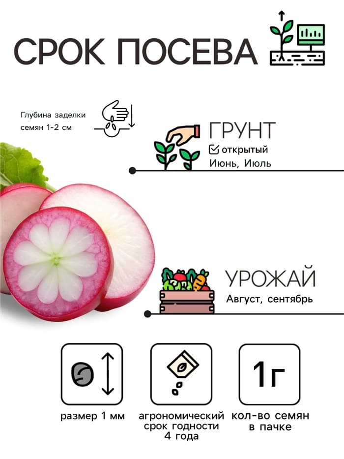 Семена Редька «Зимняя круглая черная», 3 г