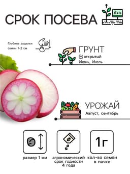 Семена Редька «Зимняя круглая черная», 3 г