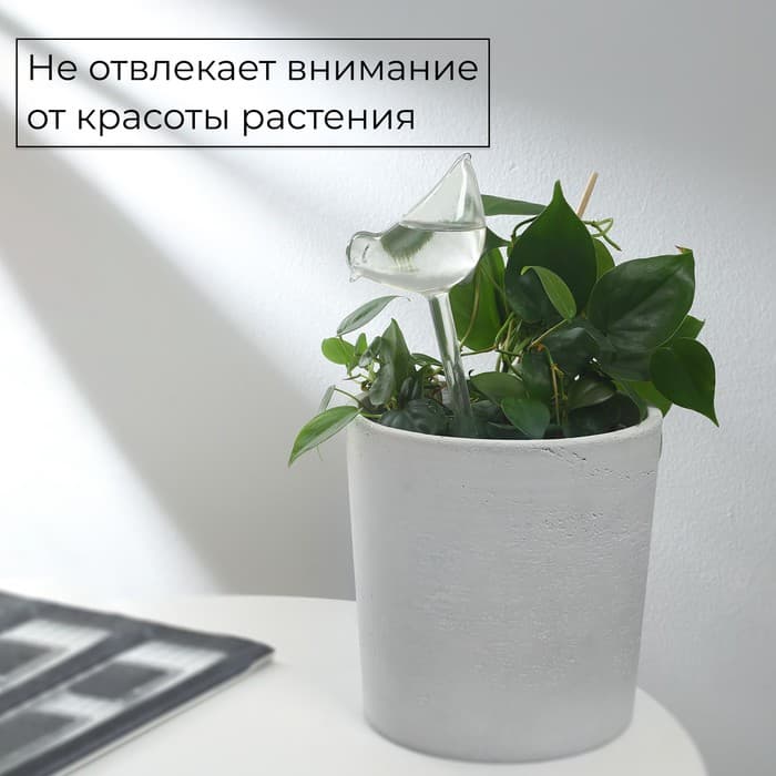 Автополив для комнатных растений «Птичка», 90 мл, ПВХ, Greengo