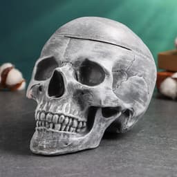 Шкатулка для украшений, мелочей «Череп» серый камень, 16×15×22 см