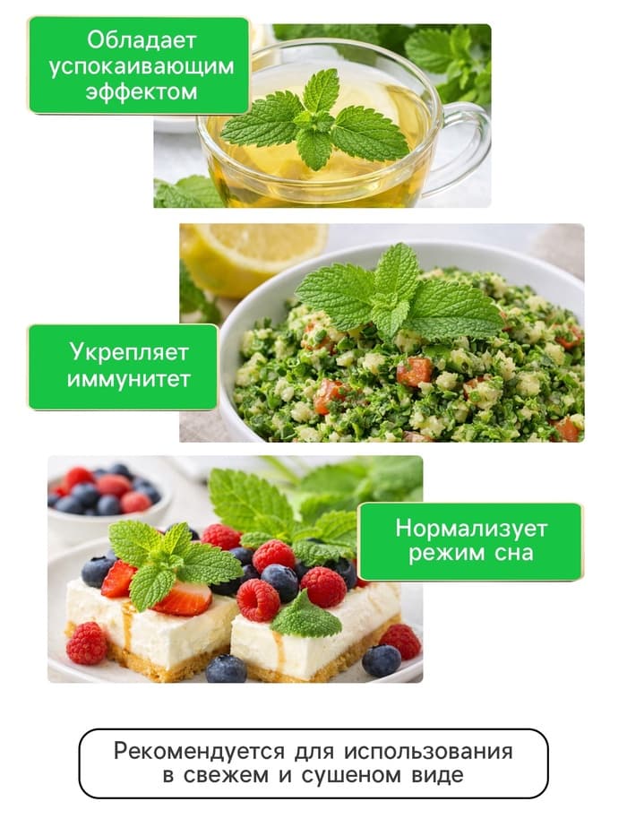 Семена Мята перечная «Ворожея», 0.03 г, «Артикул»