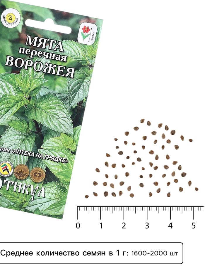 Семена Мята перечная «Ворожея», 0.03 г, «Артикул»