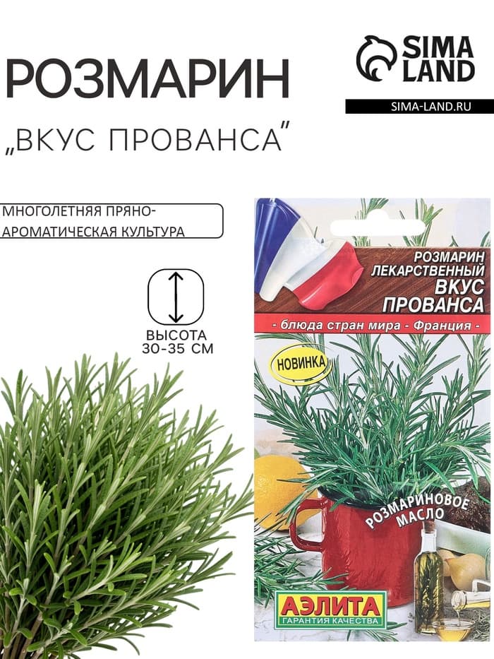 Семена Розмарин «Вкус Прованса», 20 шт., «АЭЛИТА»