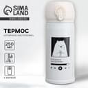 Термос «Отличное настроение», 250 мл, время сохранения тепла 6-8 ч
